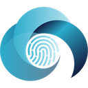 Vernovi Cyber
